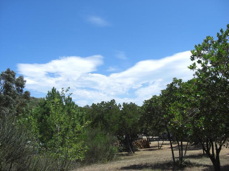 Camping California Pinarellu Exterior foto